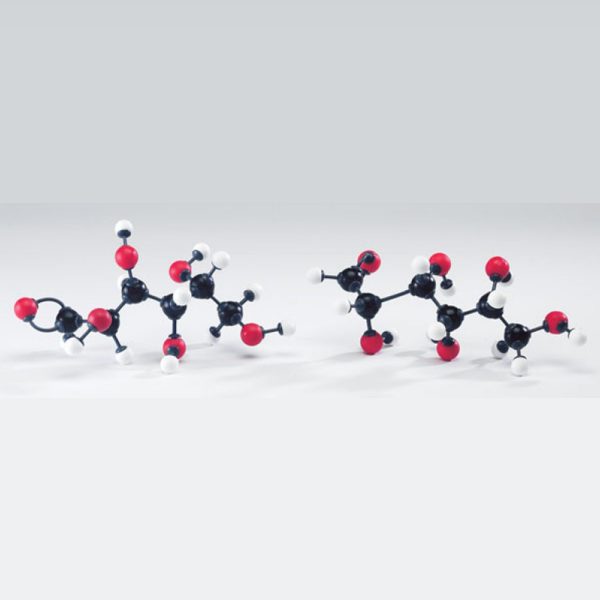 Modèle moléculaire glucides