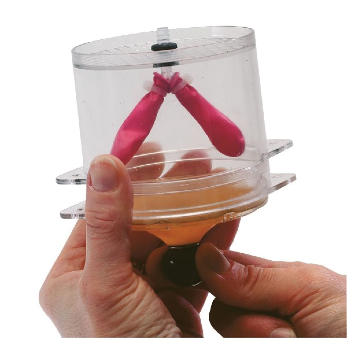 Catalogue_309.jpeg Modèle de respiration – Image 1