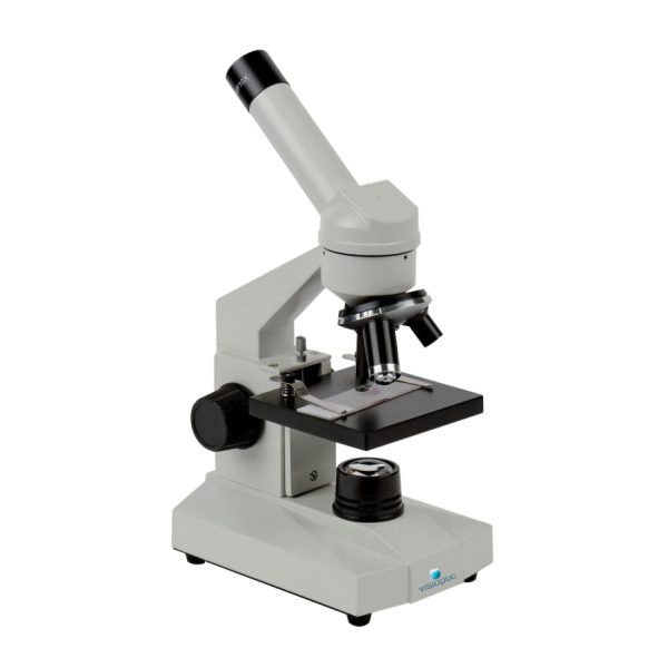 Microscope x900